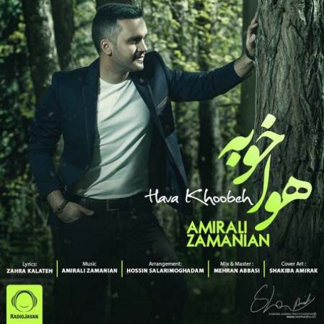 Amir-Ali-Zamanian